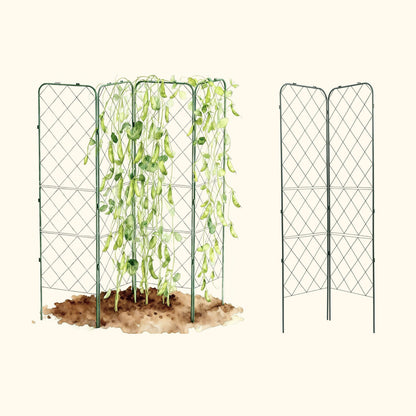 Standard Adjustable A-Frame Trellis