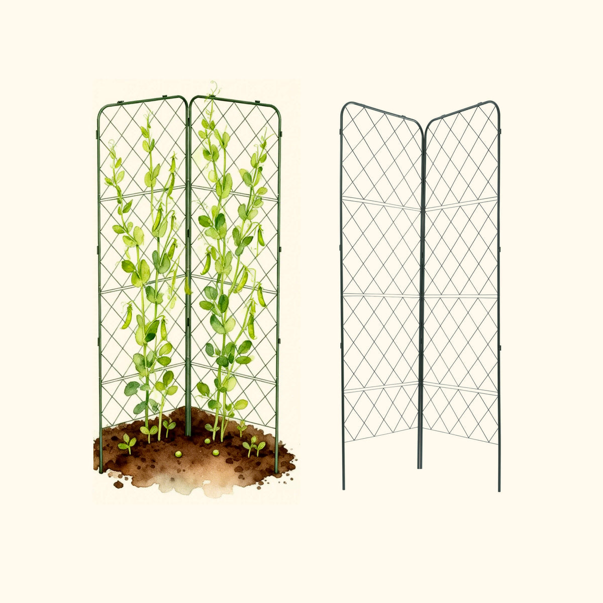 Heavy-Duty Adjustable A-Frame Trellis