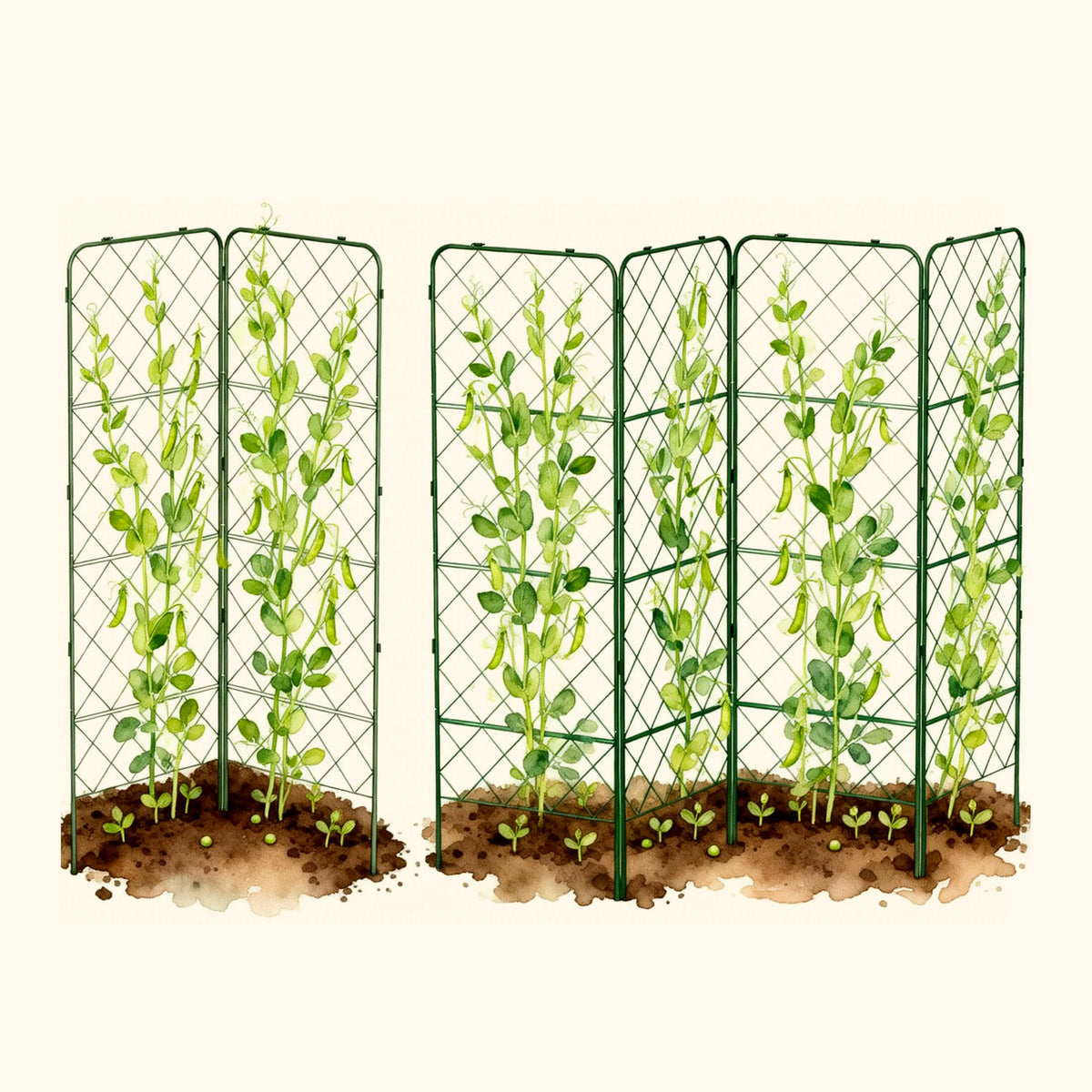 Heavy-Duty Adjustable A-Frame Trellis