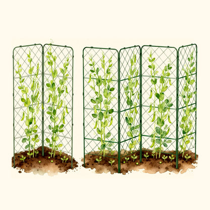 Heavy-Duty Adjustable A-Frame Trellis
