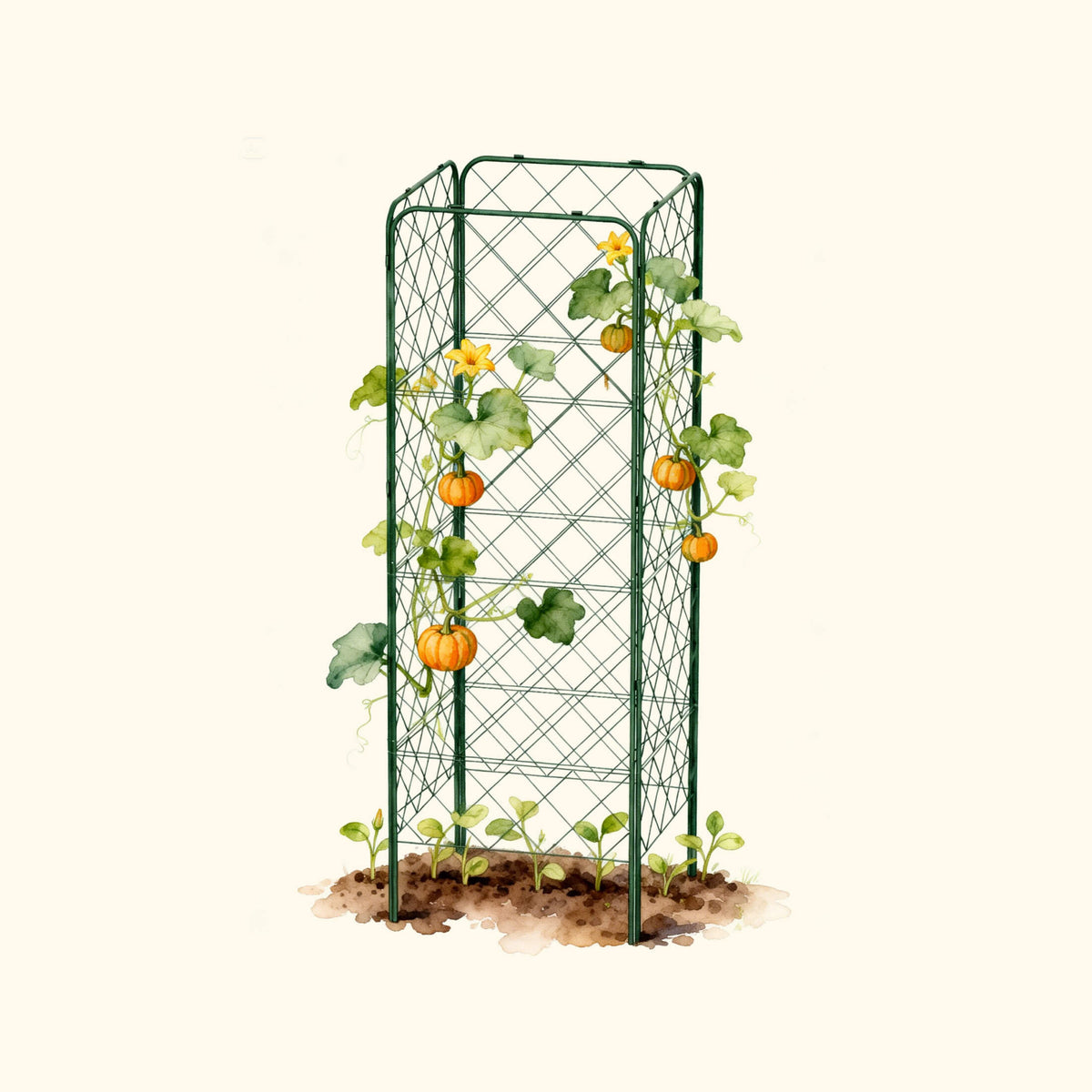Heavy-Duty Adjustable A-Frame Trellis