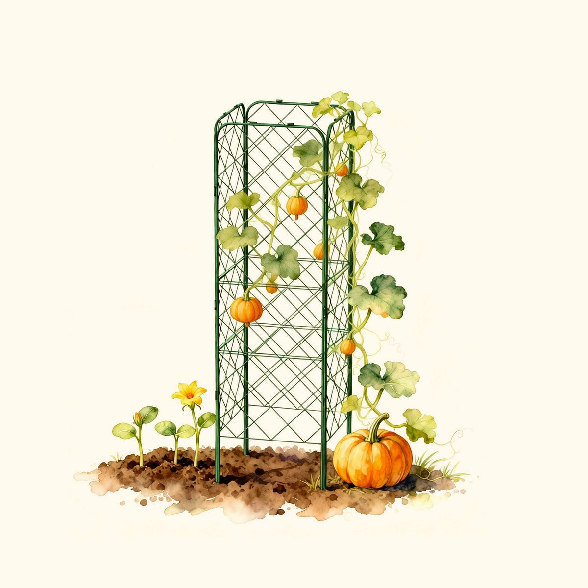 Standard Adjustable A-Frame Trellis