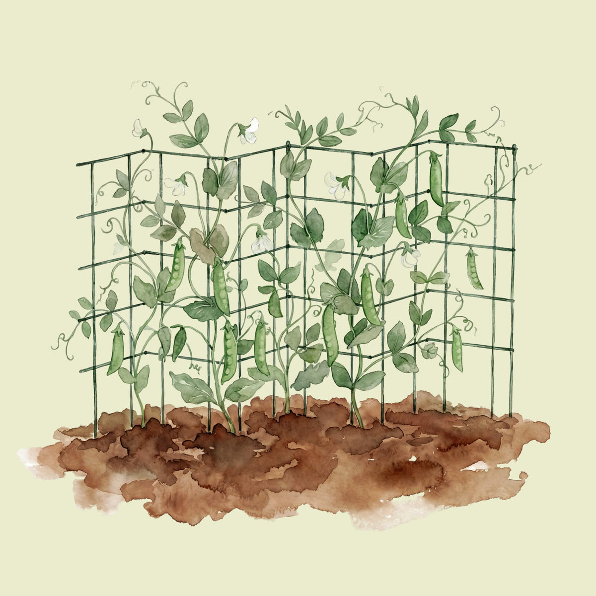 Product photo of modular triangle tomato cages, 14.5 inches