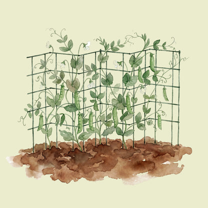 Product photo of modular triangle tomato cages, 11.5 inches