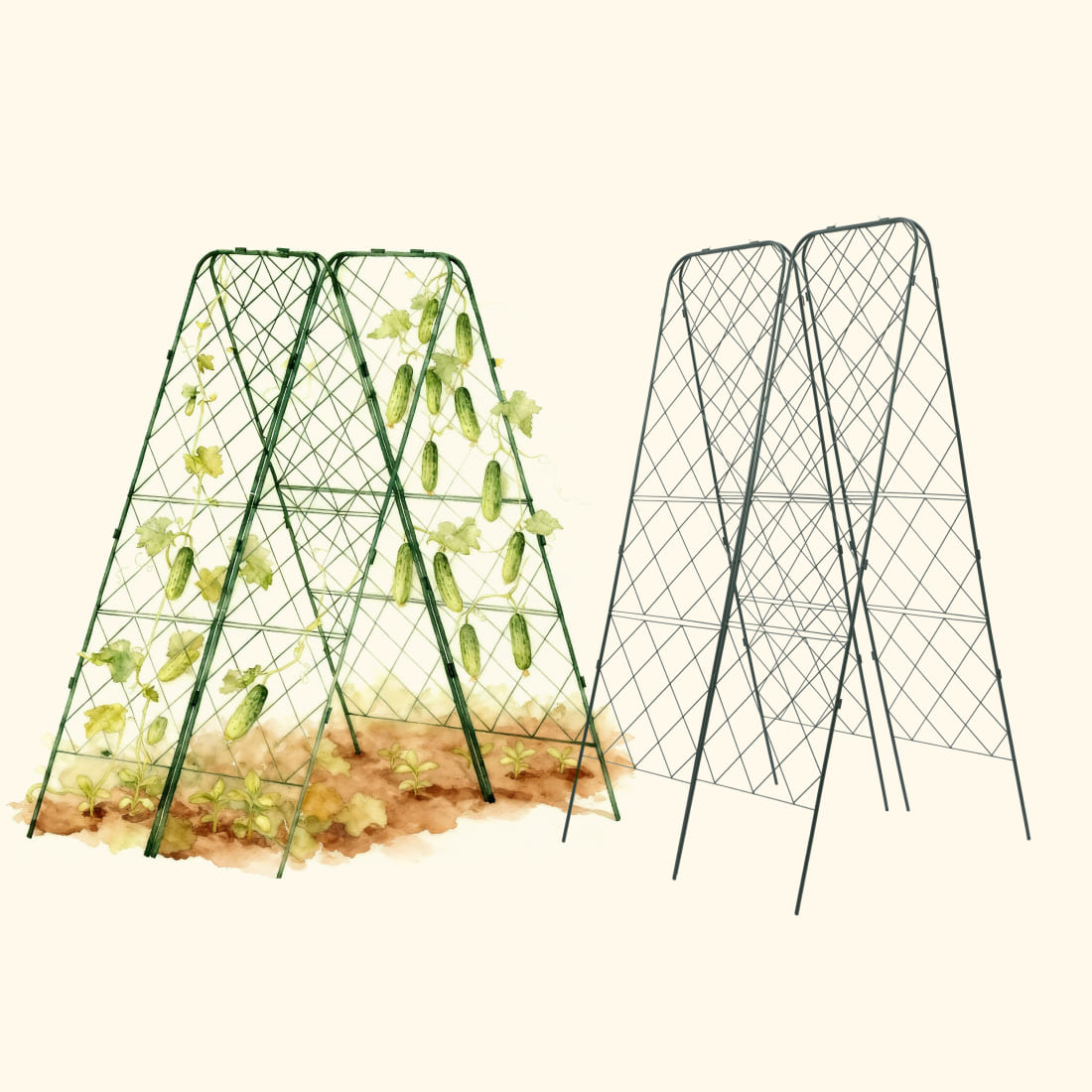 Standard Adjustable A-Frame Trellis
