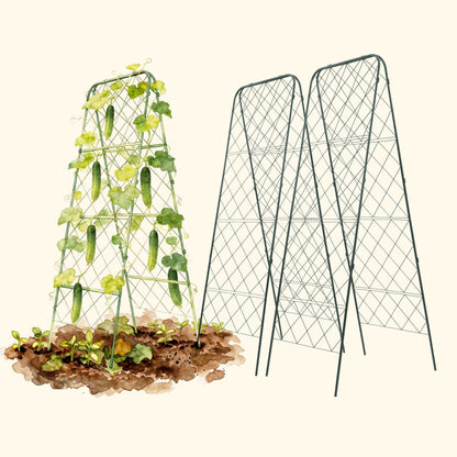 Heavy-Duty Adjustable A-Frame Trellis