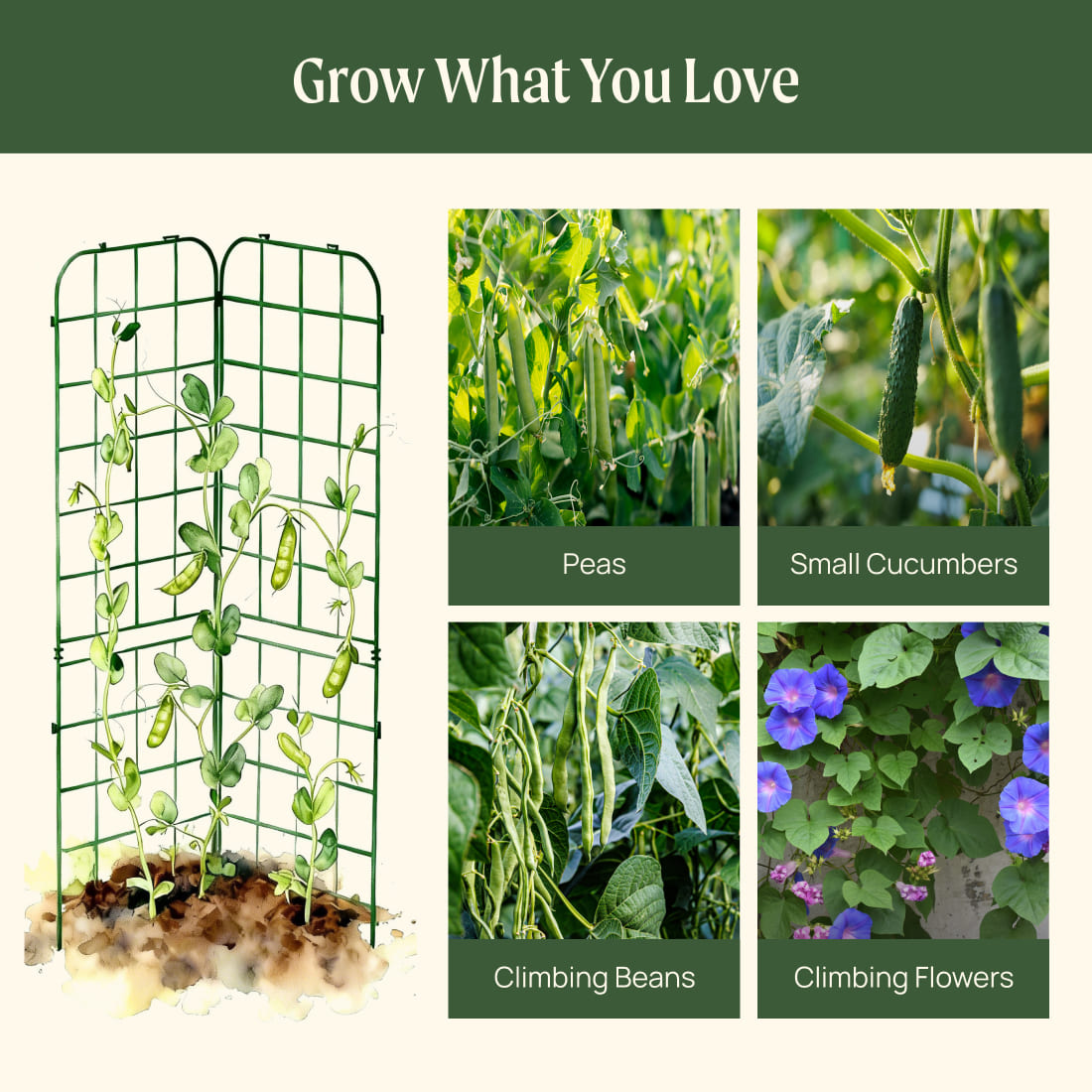 Adjustable A-Frame Trellis, 2 Pack