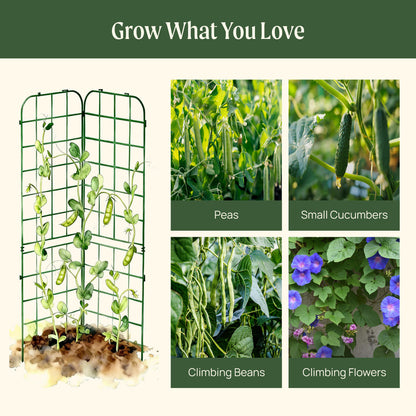 Adjustable A-Frame Trellis, 2 Pack