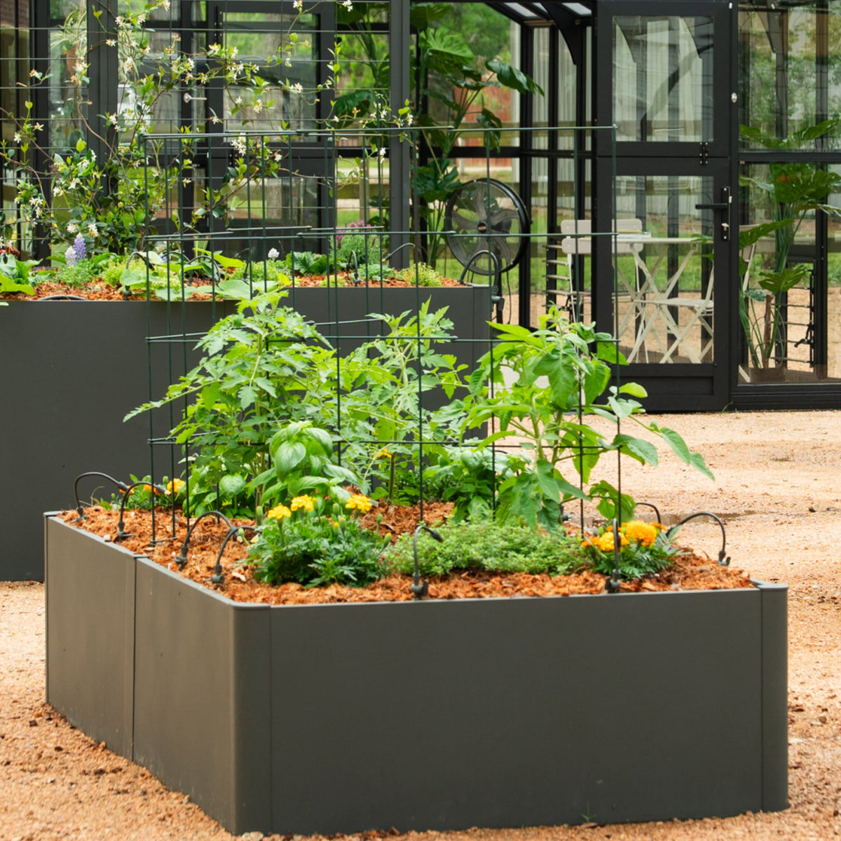 Product photo of modular square tomato cages, 11.5 inches