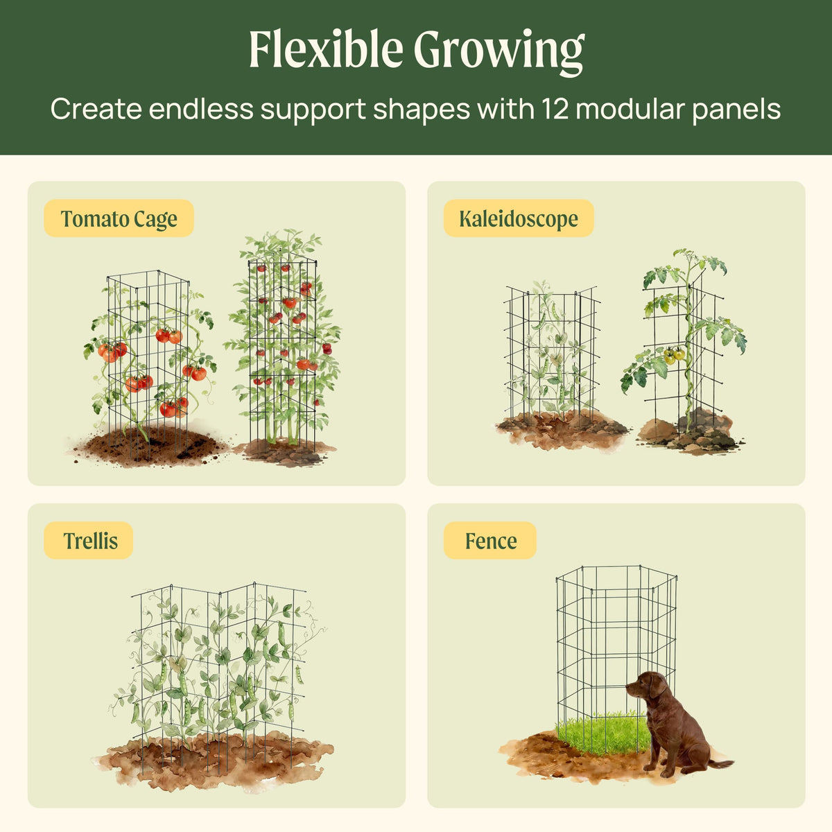 Product photo of modular plant trellis, 12 panels