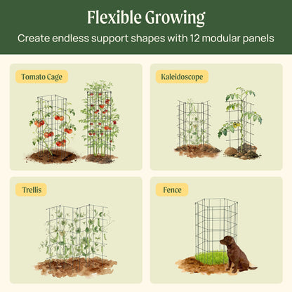 Product photo of modular plant trellis, 12 panels