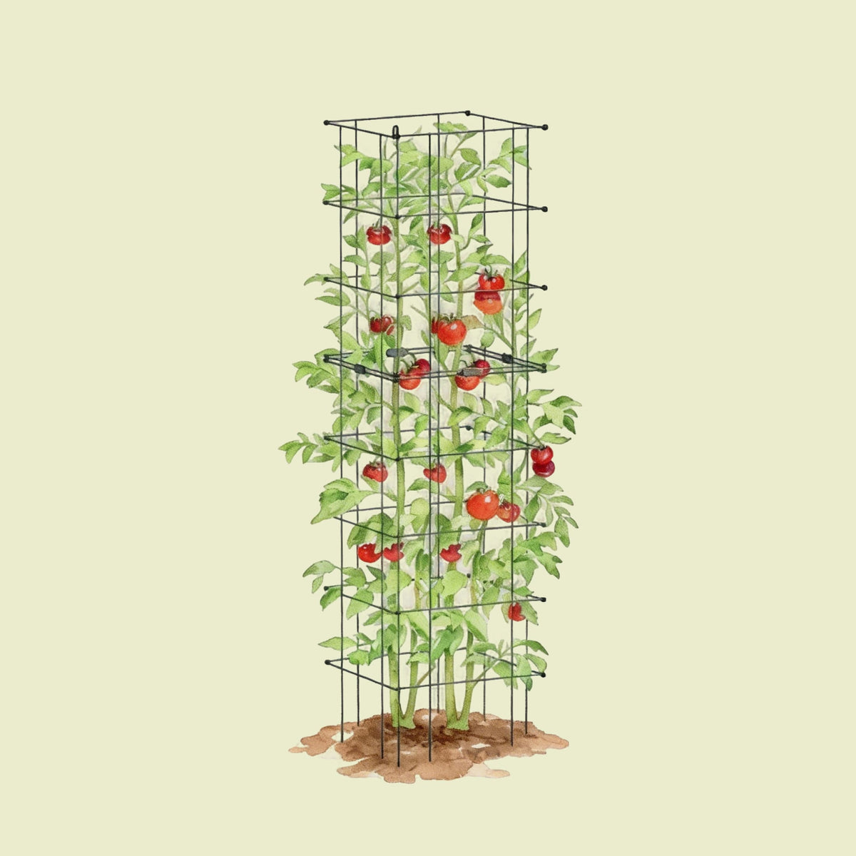 Product photo of modular square tomato cages, 14.5 inches