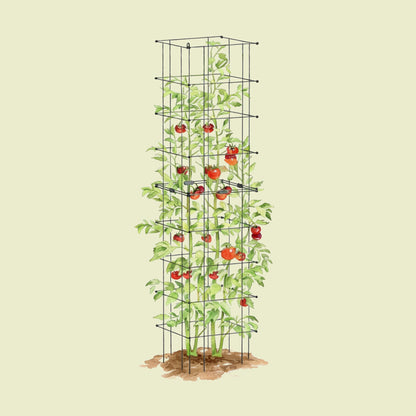 Product photo of modular square tomato cages, 16.5 inches