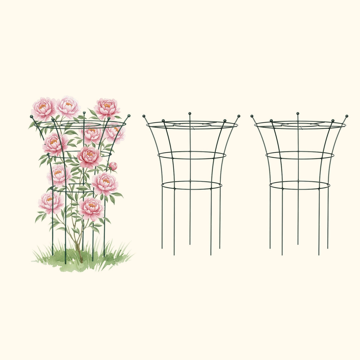 Trumpet Flower Support Cage, 2 Pack