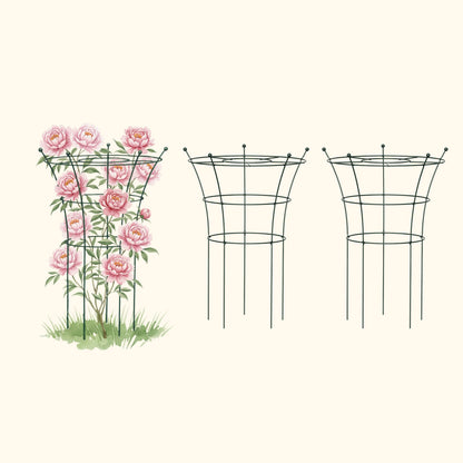 Trumpet Flower Support Cage, 2 Pack