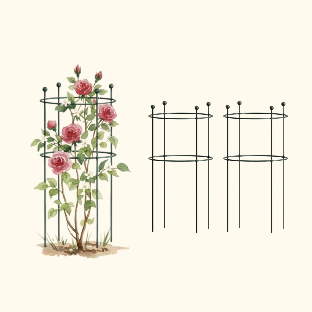 Round Flower Support Cage, 2 Pack