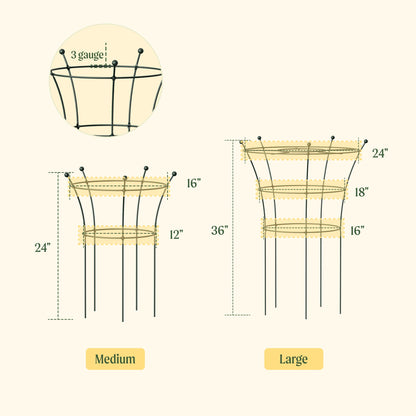 Trumpet Flower Support Cage, 2 Pack
