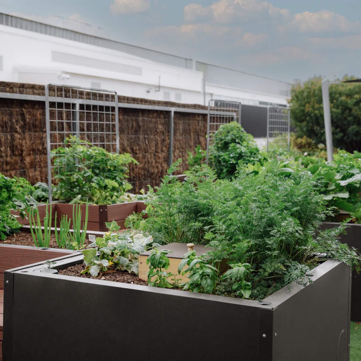 Product photo of steel side panels for garden planter