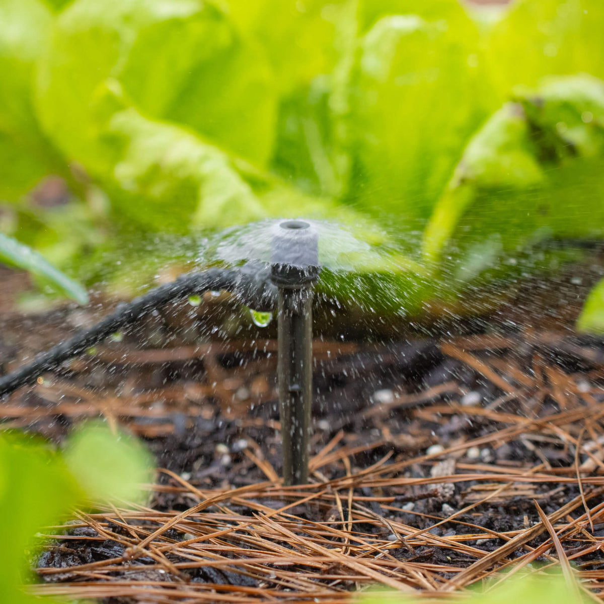 Product photo of fountain sprinkler for irrigation