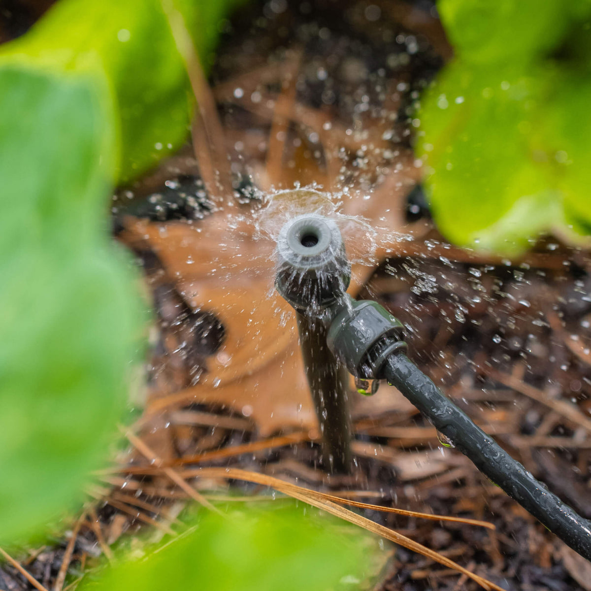 Product photo of fountain sprinkler for irrigation