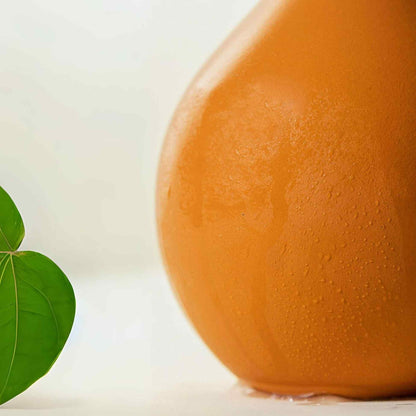 Product photo of porous clay watering pot