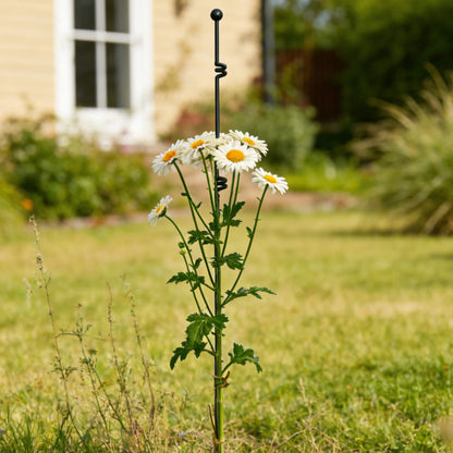 Spiral Garden Stakes, 4 Pack