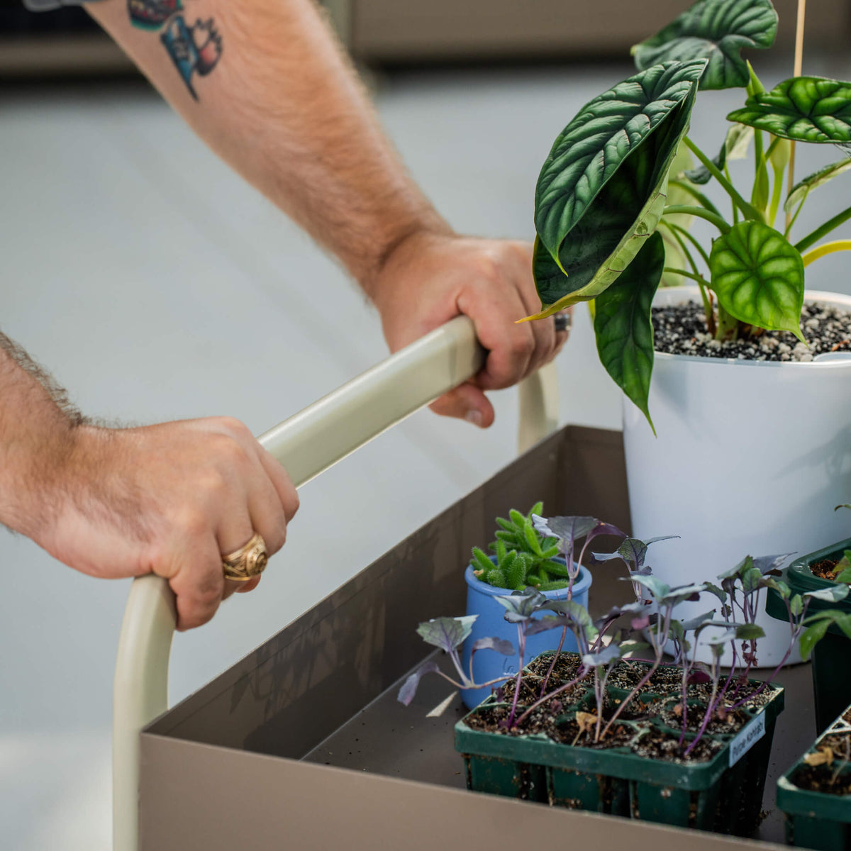 Product photo of rolling garden potting cart