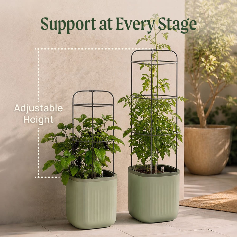Adjustable Metal Trellis for Tomato Planter