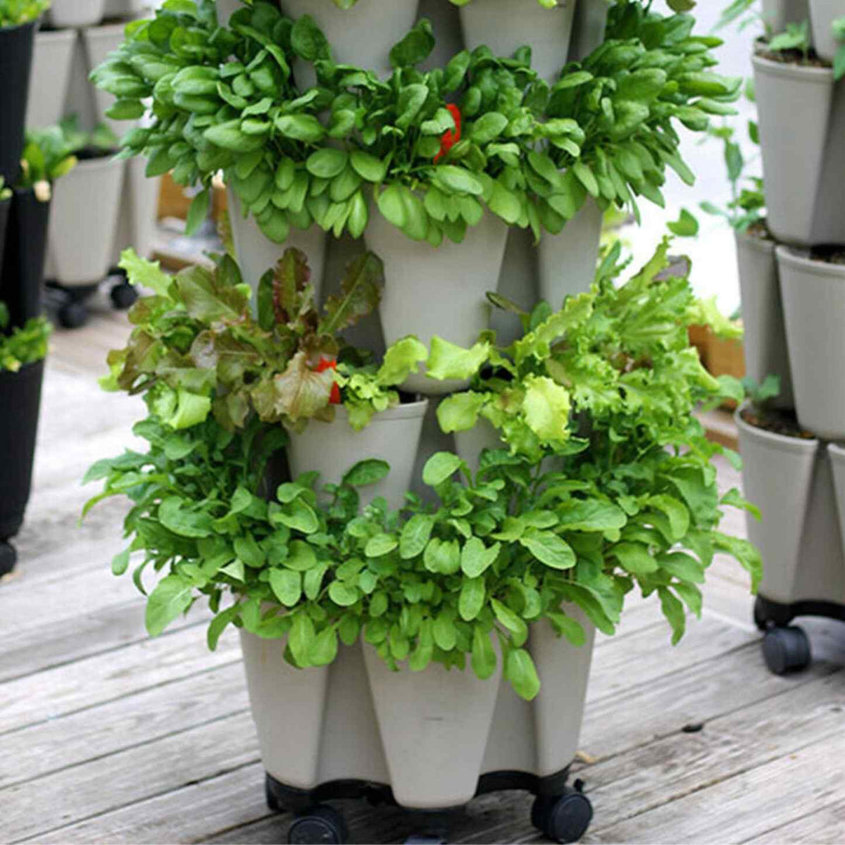 Product image of five tier vertical planter