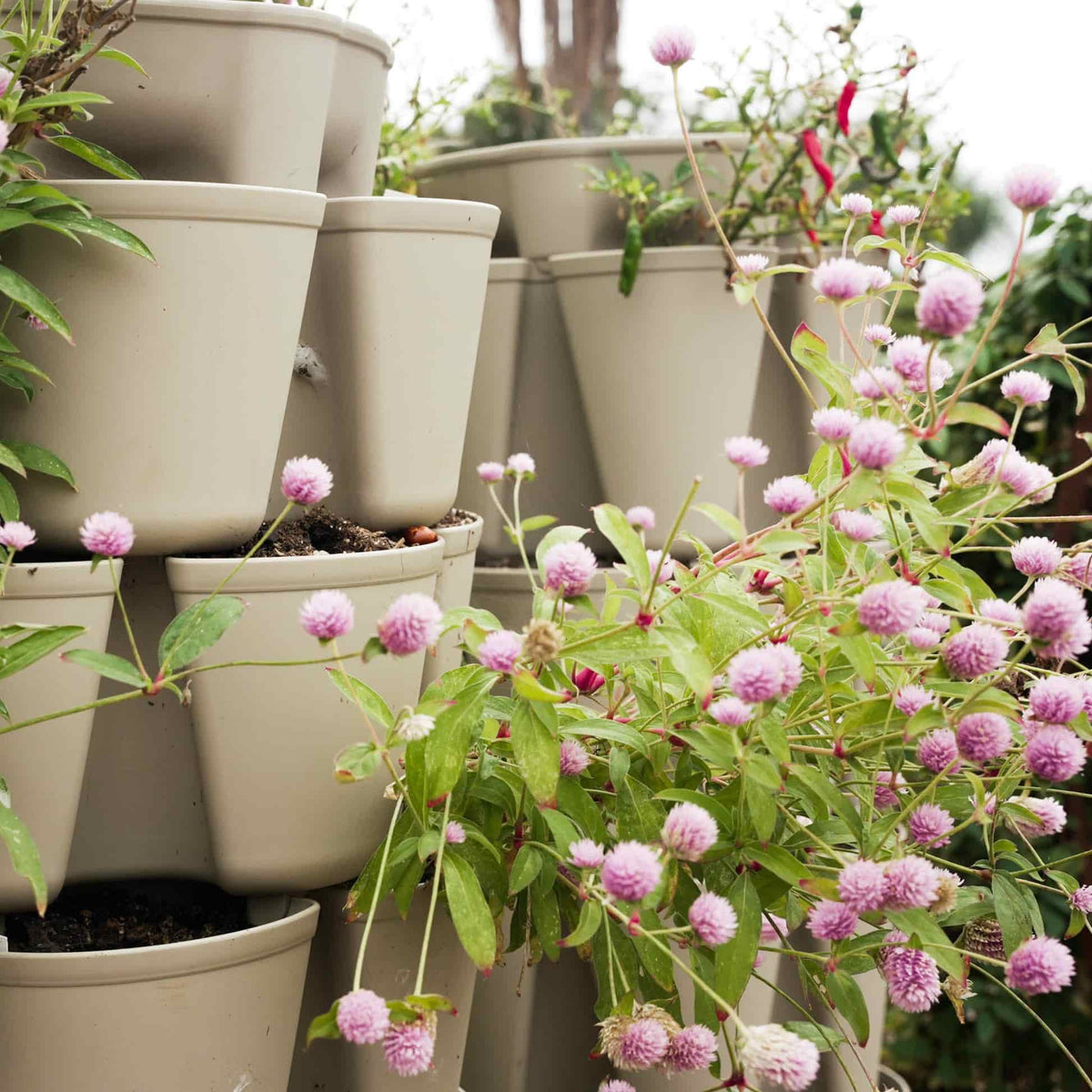 Product image of seven tier vertical planter