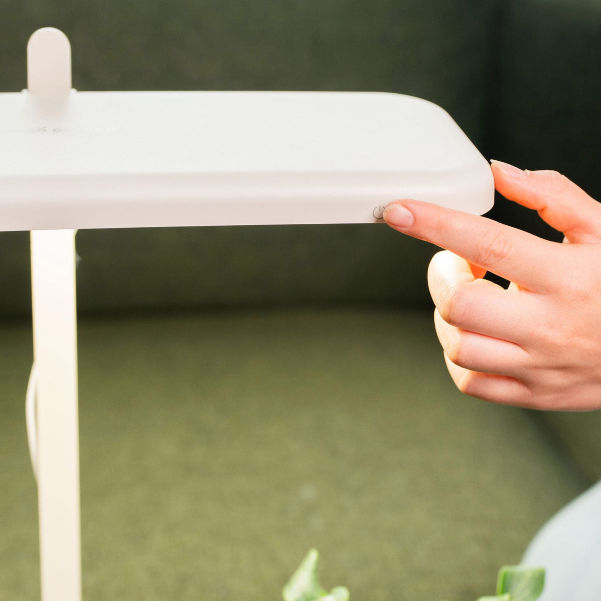 Product photo of starter indoor grow light stand