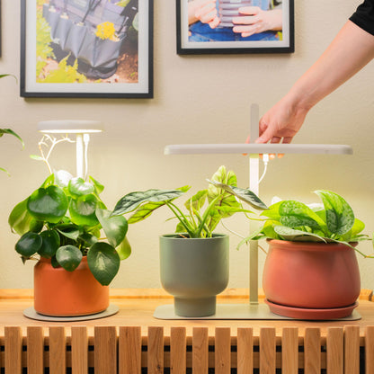 Product photo of starter indoor grow light stand