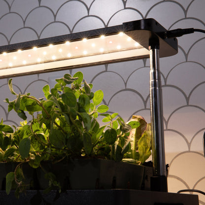 Countertop Grow Light With Tray