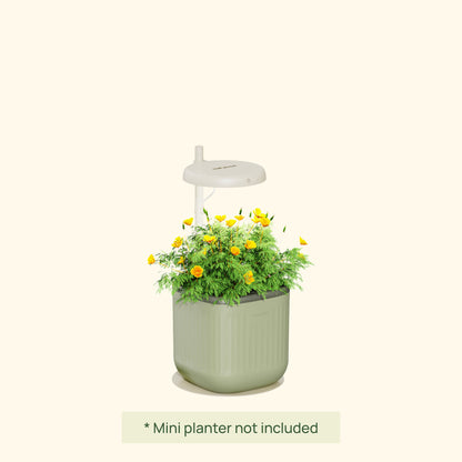 Product photo of mini indoor grow light stand
