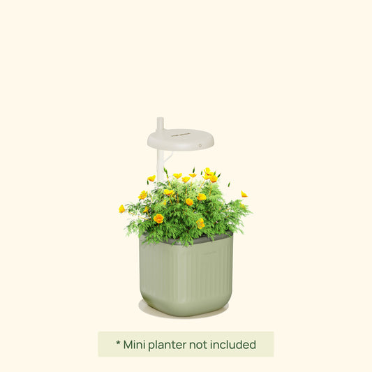 Product photo of mini indoor grow light stand