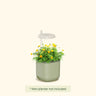Product photo of mini indoor grow light stand