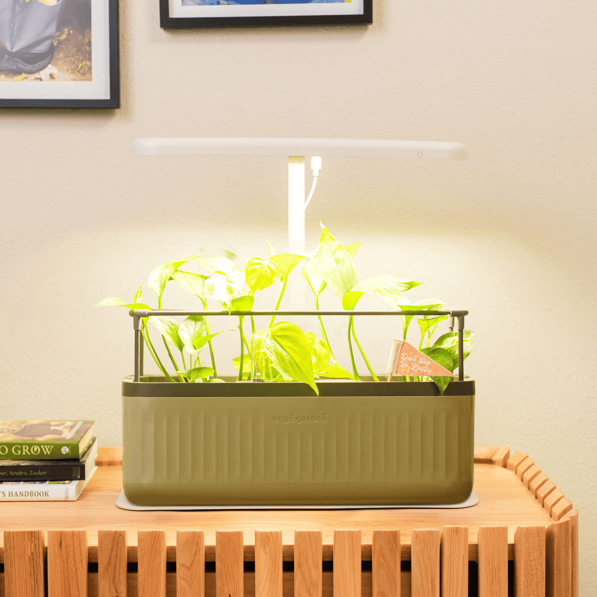 Product photo of starter indoor grow light stand