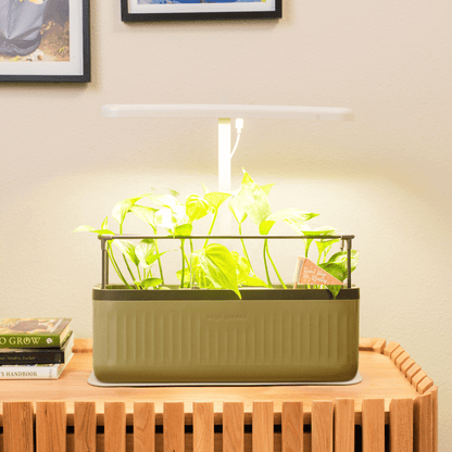 Product photo of starter indoor grow light stand