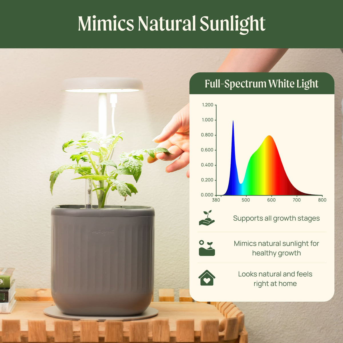 Product photo of mini indoor grow light stand