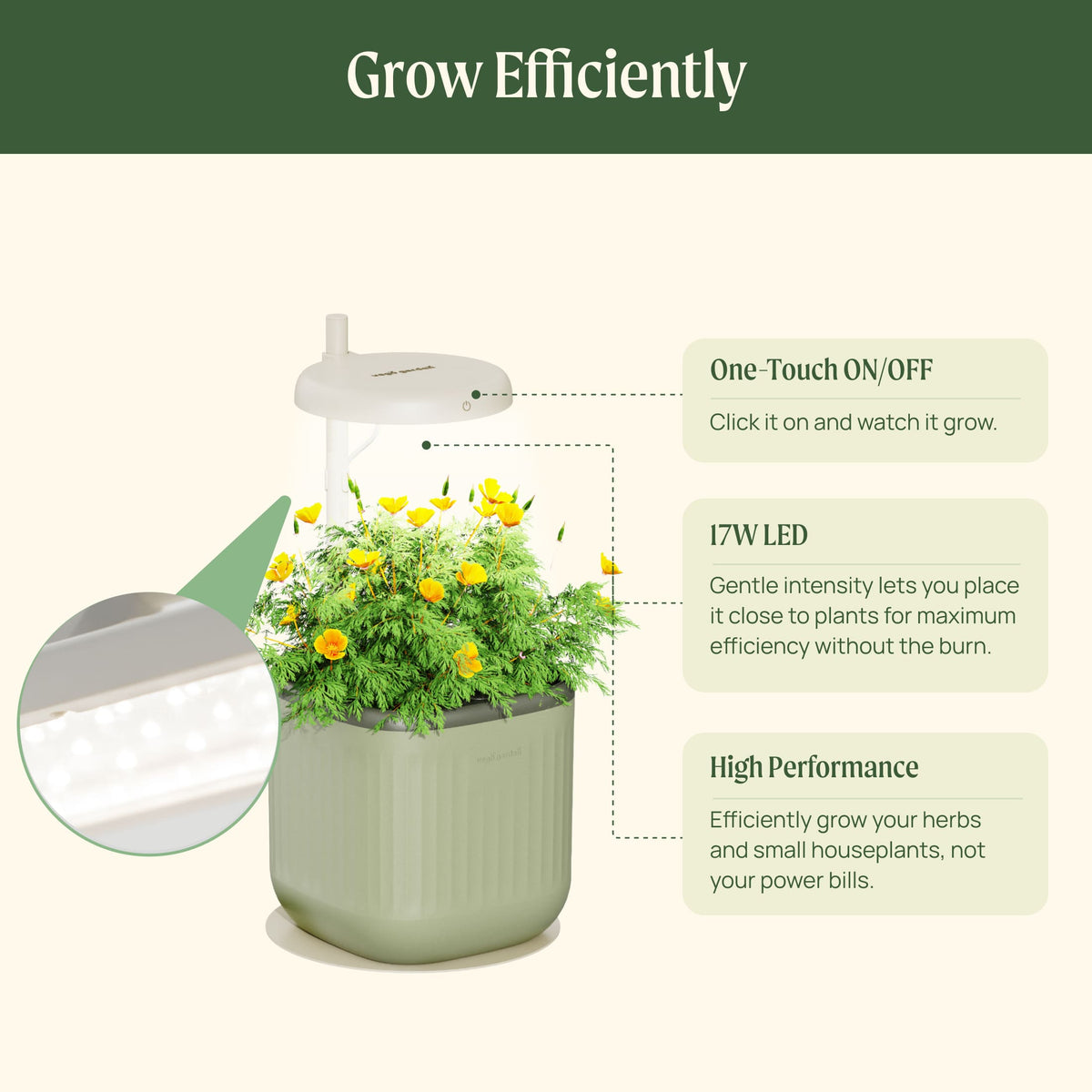 Product photo of mini indoor grow light stand