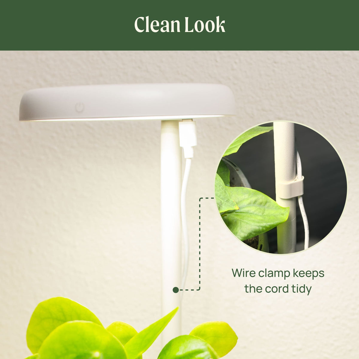 Product photo of mini indoor grow light stand