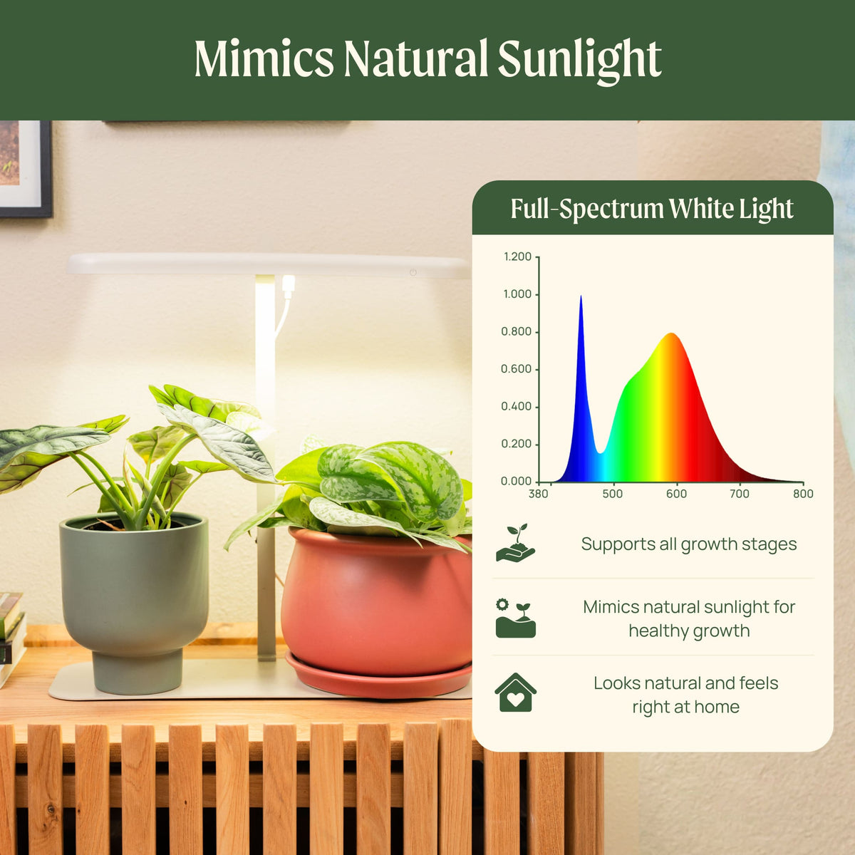 Product photo of starter indoor grow light stand