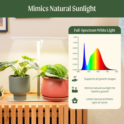 Product photo of starter indoor grow light stand