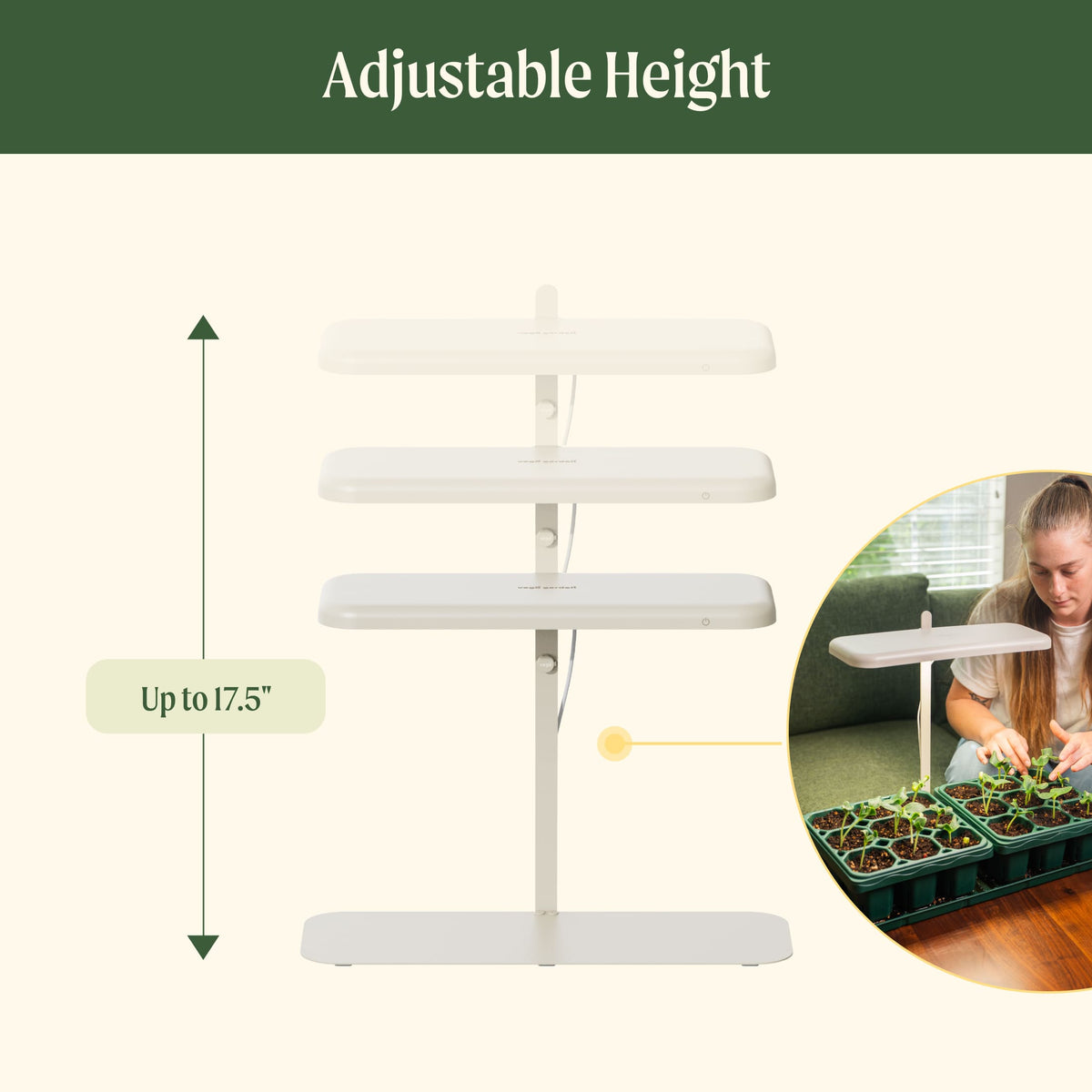 Product photo of starter indoor grow light stand
