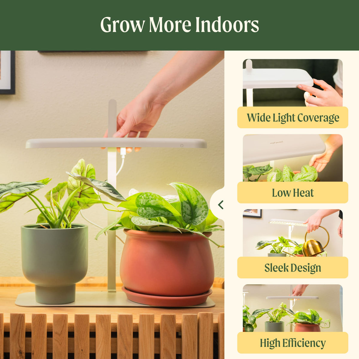 Product photo of starter indoor grow light stand