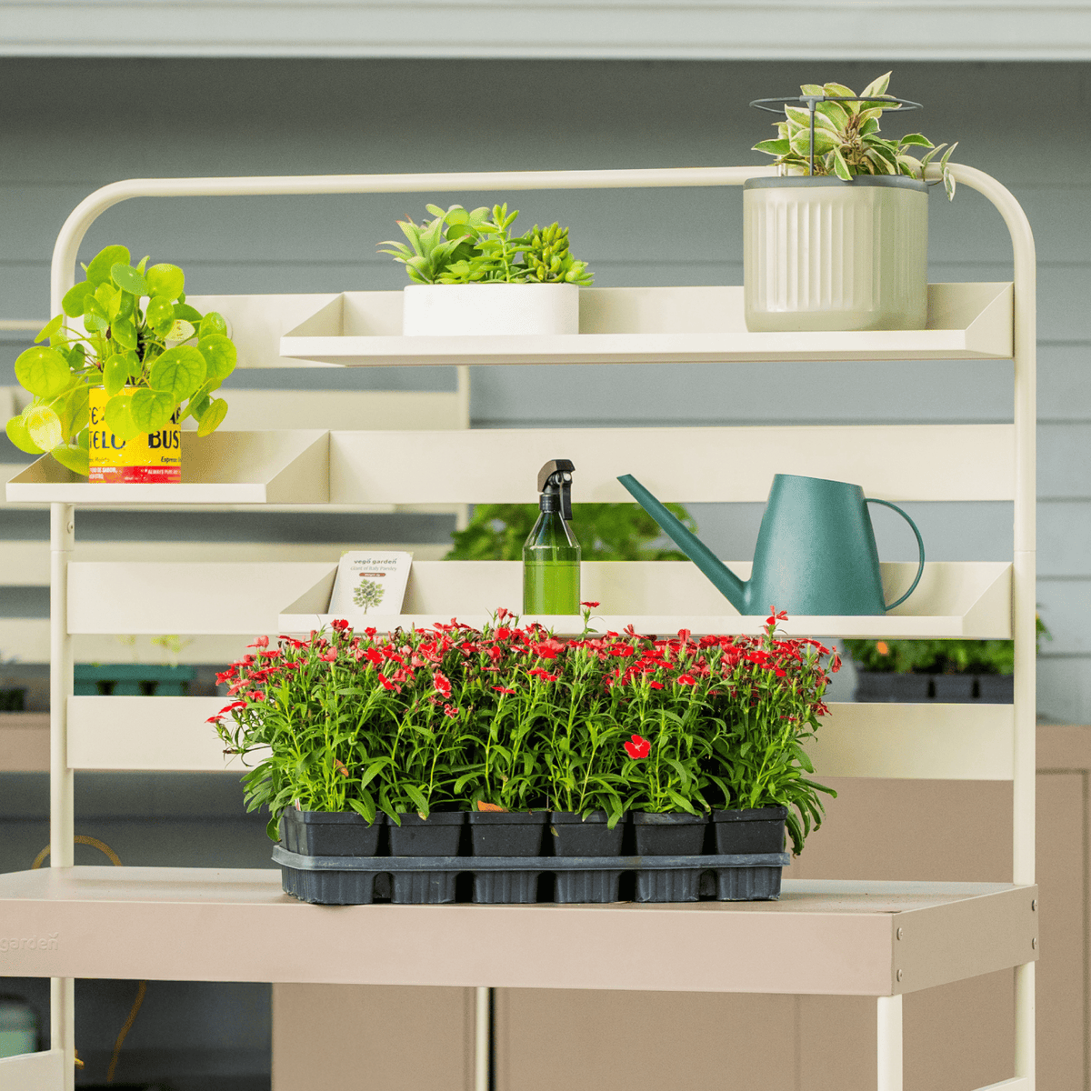 Product photo of hanging rack shelf set