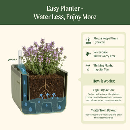 Product photo of self-watering herb planter with trellis