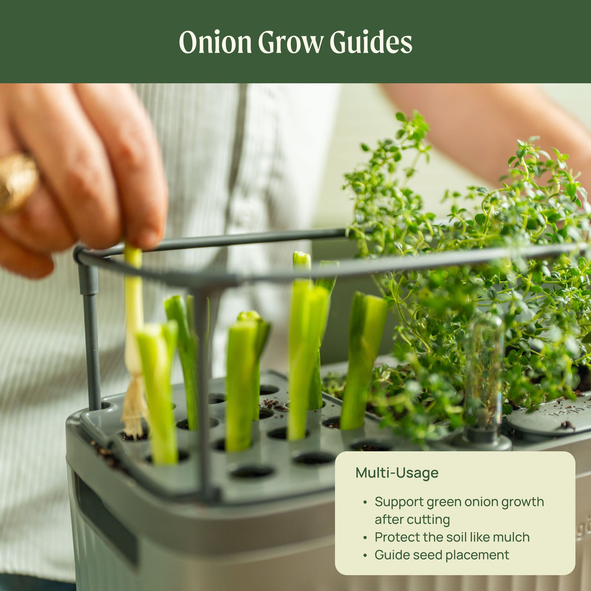 Product photo of self-watering herb planter with trellis