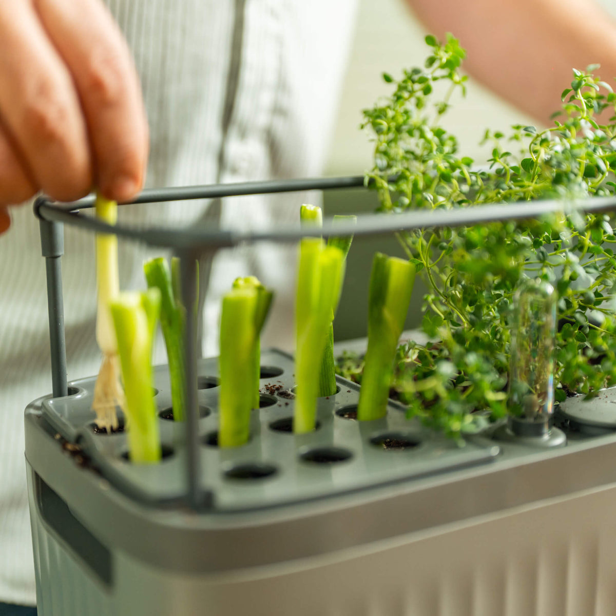 Product photo of self-watering herb planter with trellis