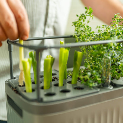 Product photo of self-watering herb planter with trellis